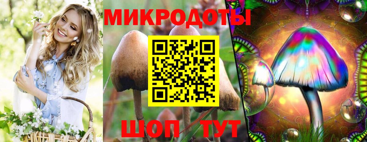 Иваново  Псилоцибиновые грибы прущие грибы  Вход с VPN  Галлюциногенные грибы прущие грибы 